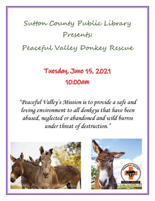 Peaceful Valley Donkey Rescue